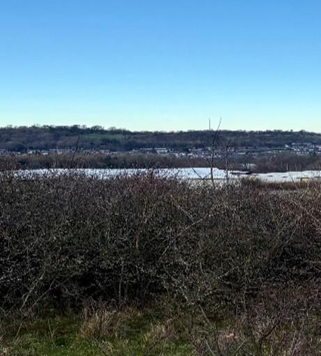 Bryn Cegin Park Bangor 