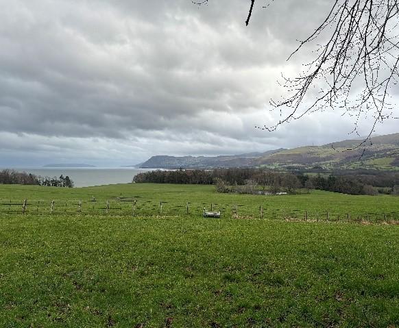 Penrhyn Castle Grounds 
