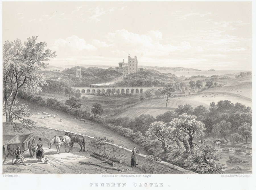 An etching of the landscape around Penrhyn Castle 