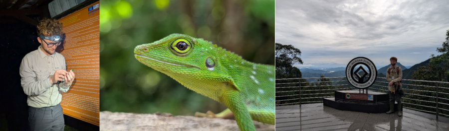 Wartski travel bursary