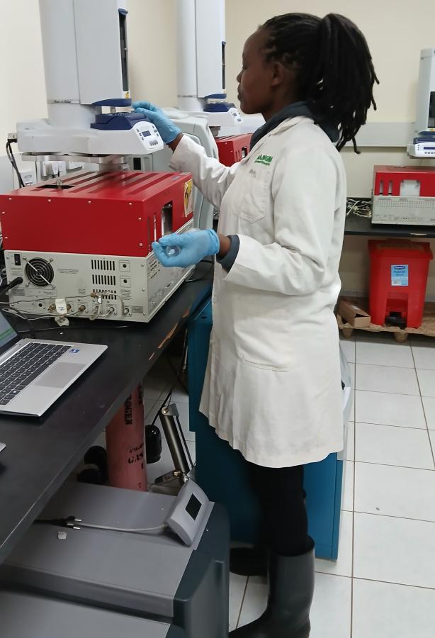 Winnie carrying out gas sampling and analysis during in vitro fermentation for methane production assessment. 