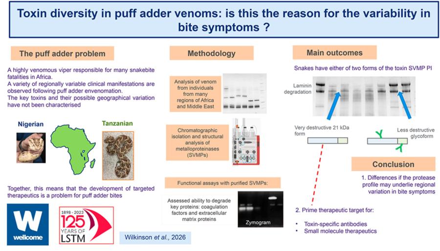 Biochemical characterisation of venom metalloproteinases