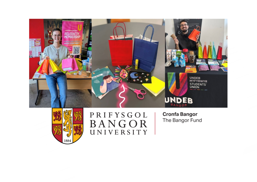 wellbeing and inclusive activities