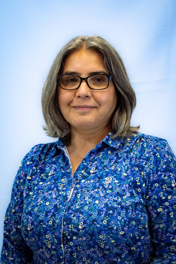 Headshot of Afsaneh Alizadeh-Alamdari