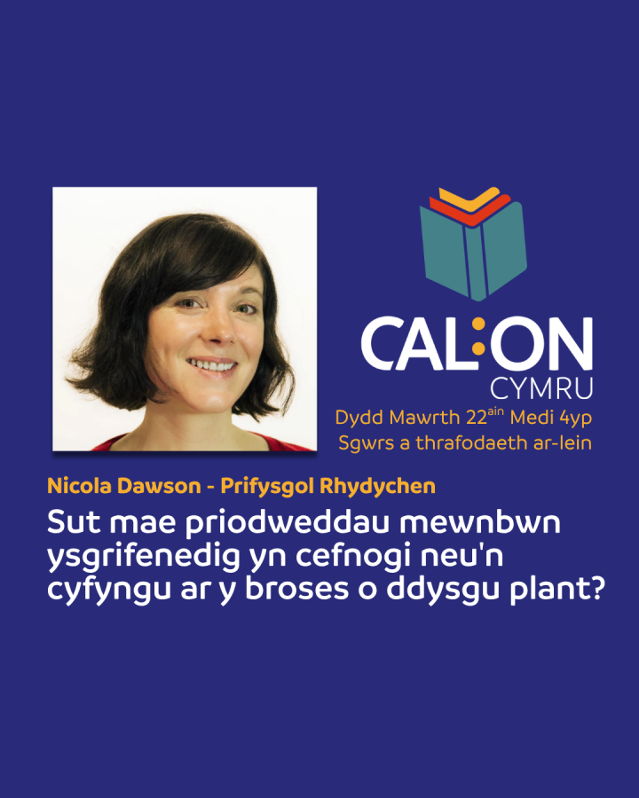 Poster for literacy talk event