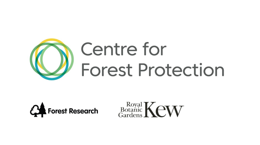 CFP Logo