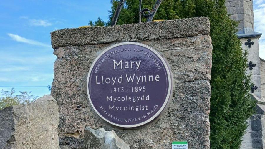 Purple plaque fixed to a stone pier. 