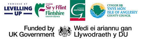 Levelling Up, Flintshire County Council, Cyngor Gwynedd, Isle of Anglesey County Council and the UK Governemnt logos