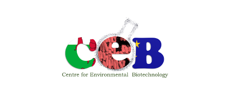 Canolfan Biotechnoleg Amgylcheddol (CEB)