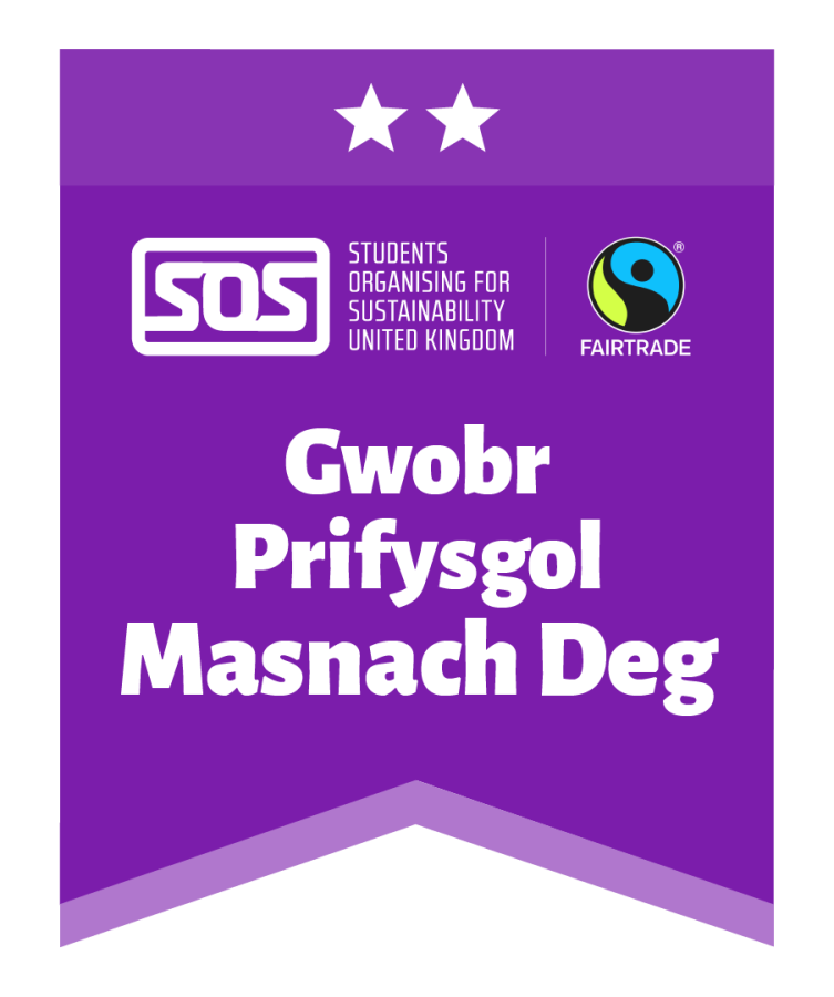 Logo 2 Seren Masnach Deg