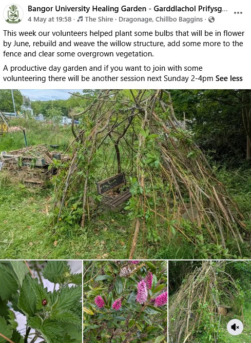 Healing Gardens