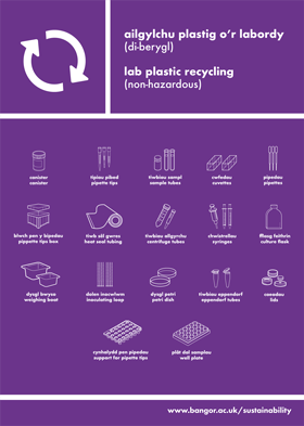 Lab Plastic Recycling